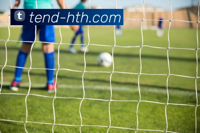 App Interface Preview